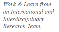 Interdisciplinary Research Team